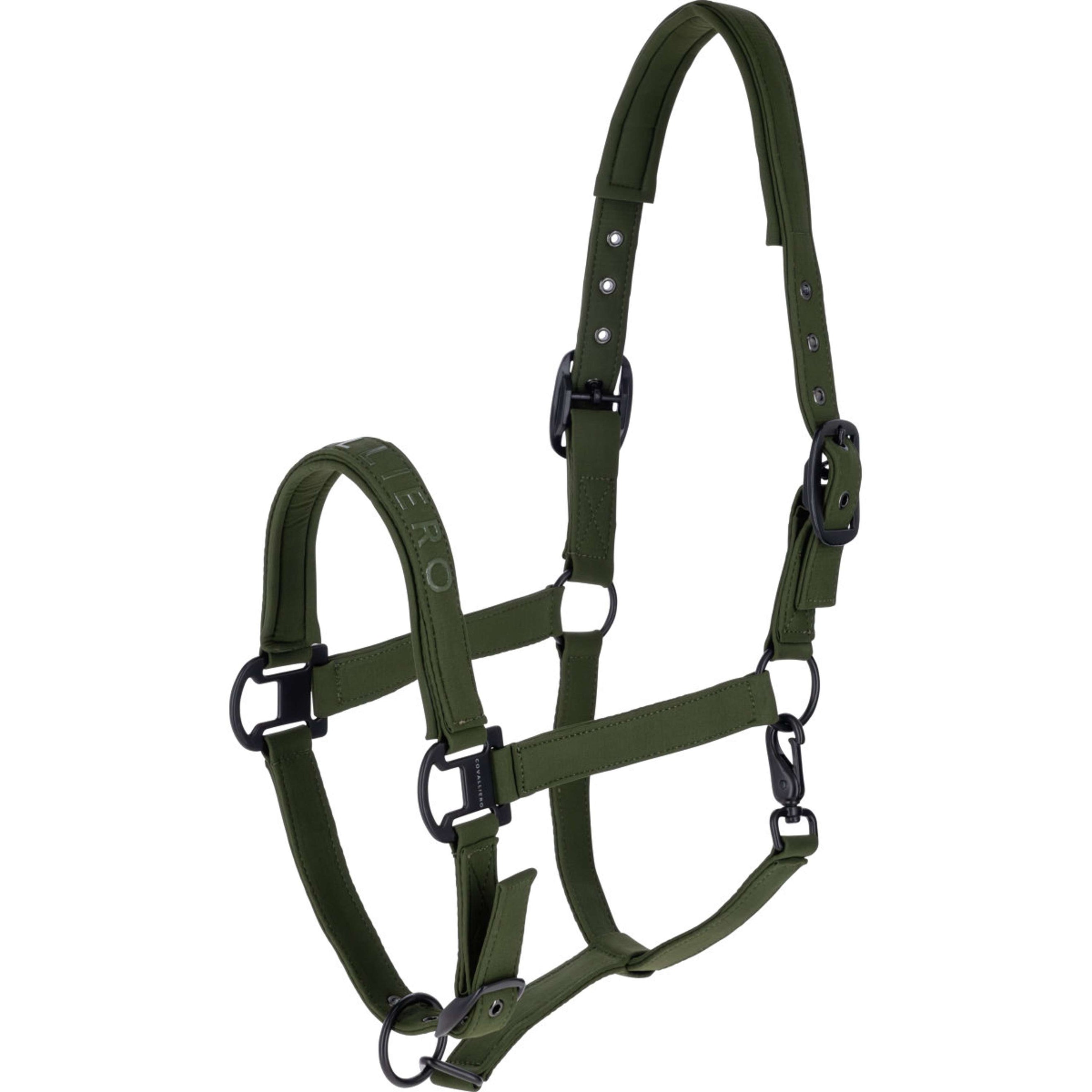 Covalliero Halfter AW26 Forest Green