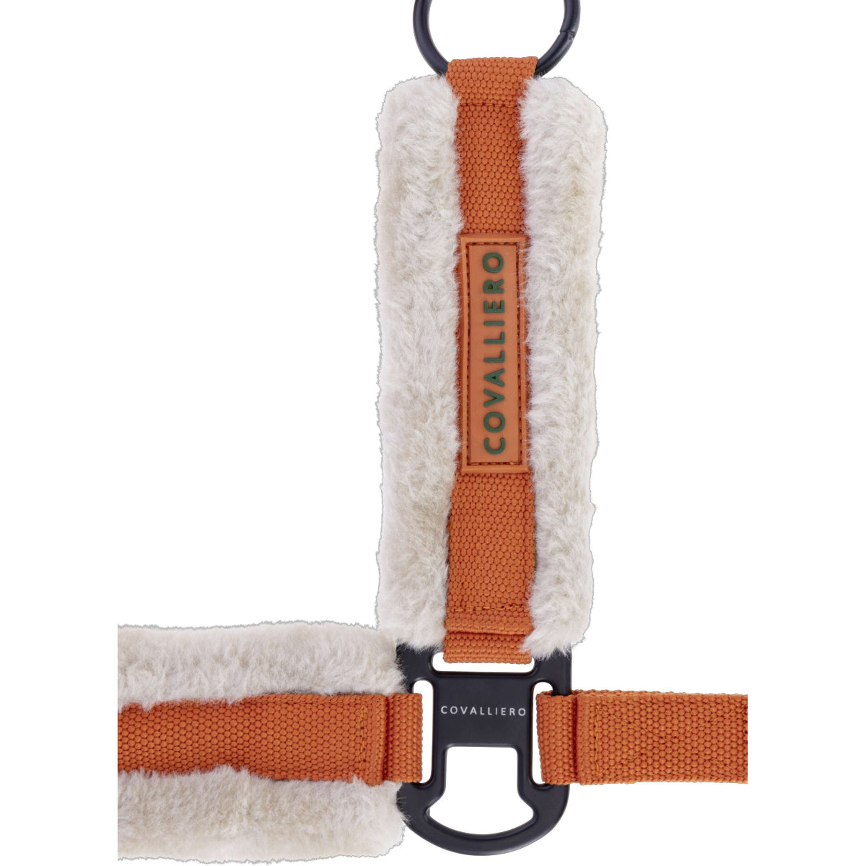 Covalliero Halfter Soft AW26 Orange