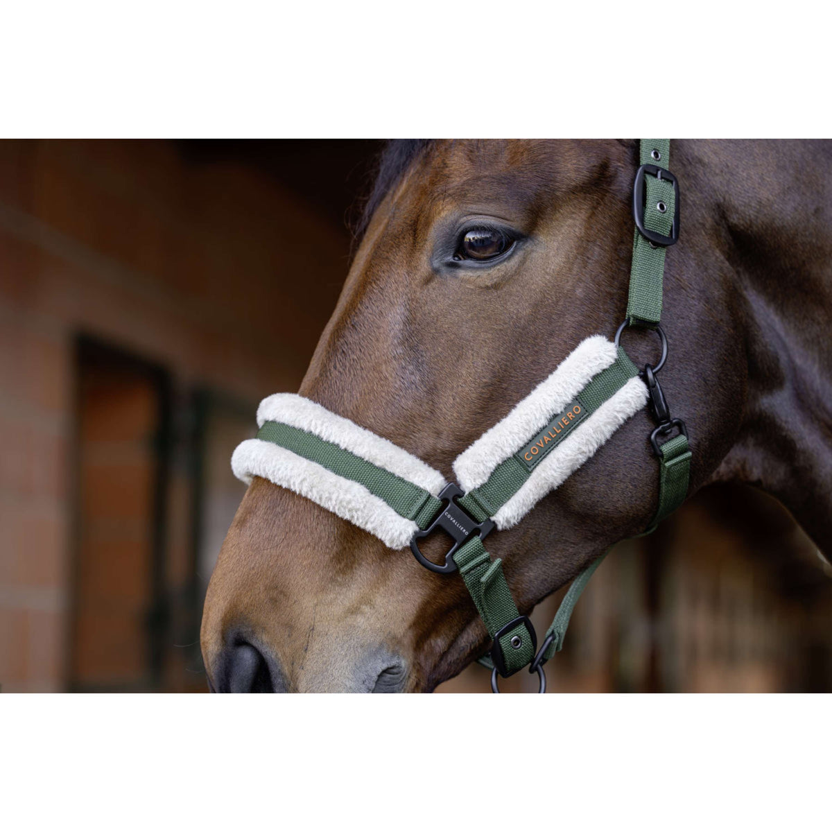 Covalliero Halfter Soft AW26 Forest Green