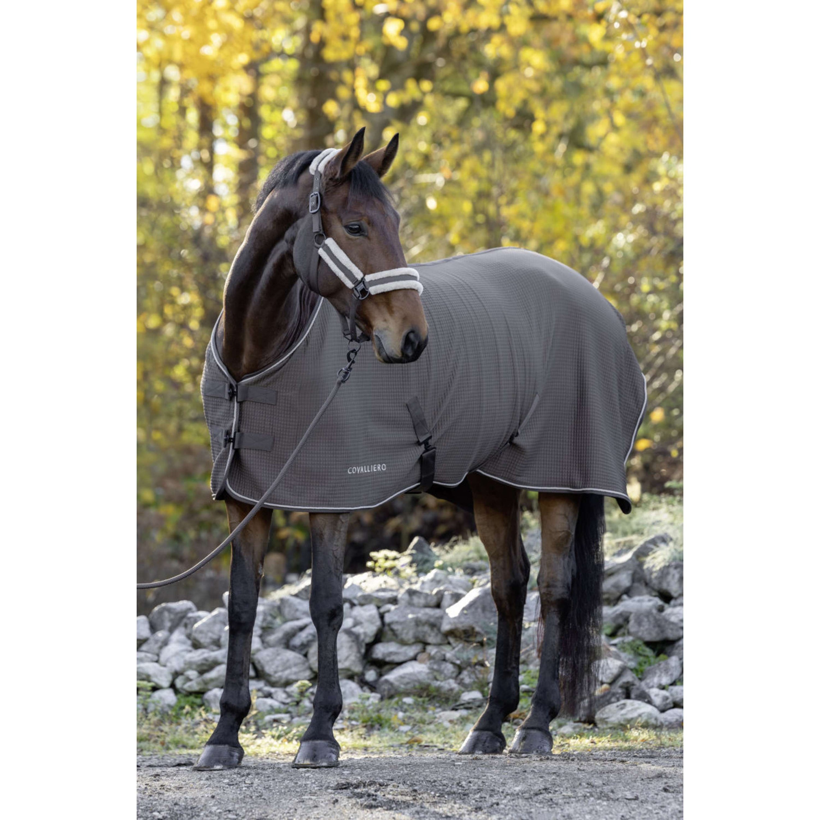 Covalliero Abschwitzdecke Premium AW26 Milky Chocolate Covalliero Abschwitzdecke Premium AW26 Milky Chocolate