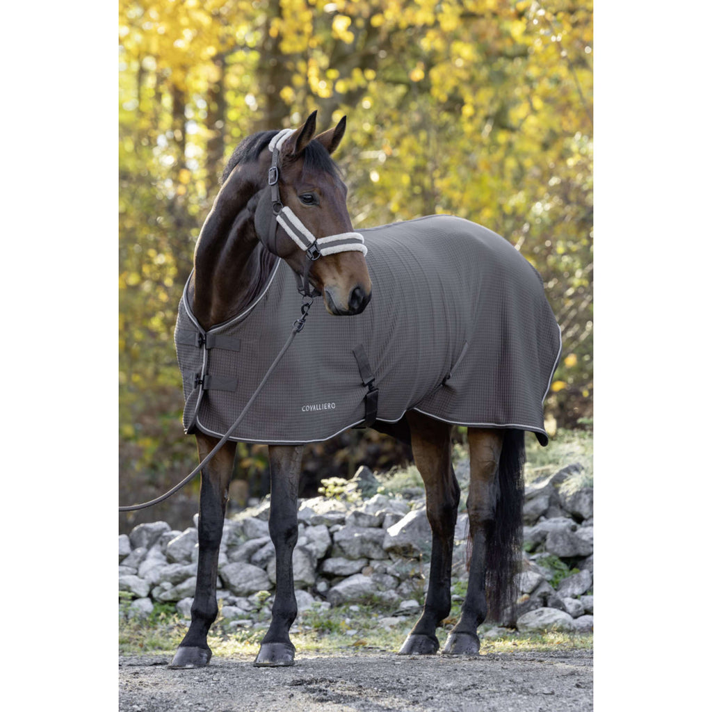 Covalliero Abschwitzdecke Premium AW26 Milky Chocolate