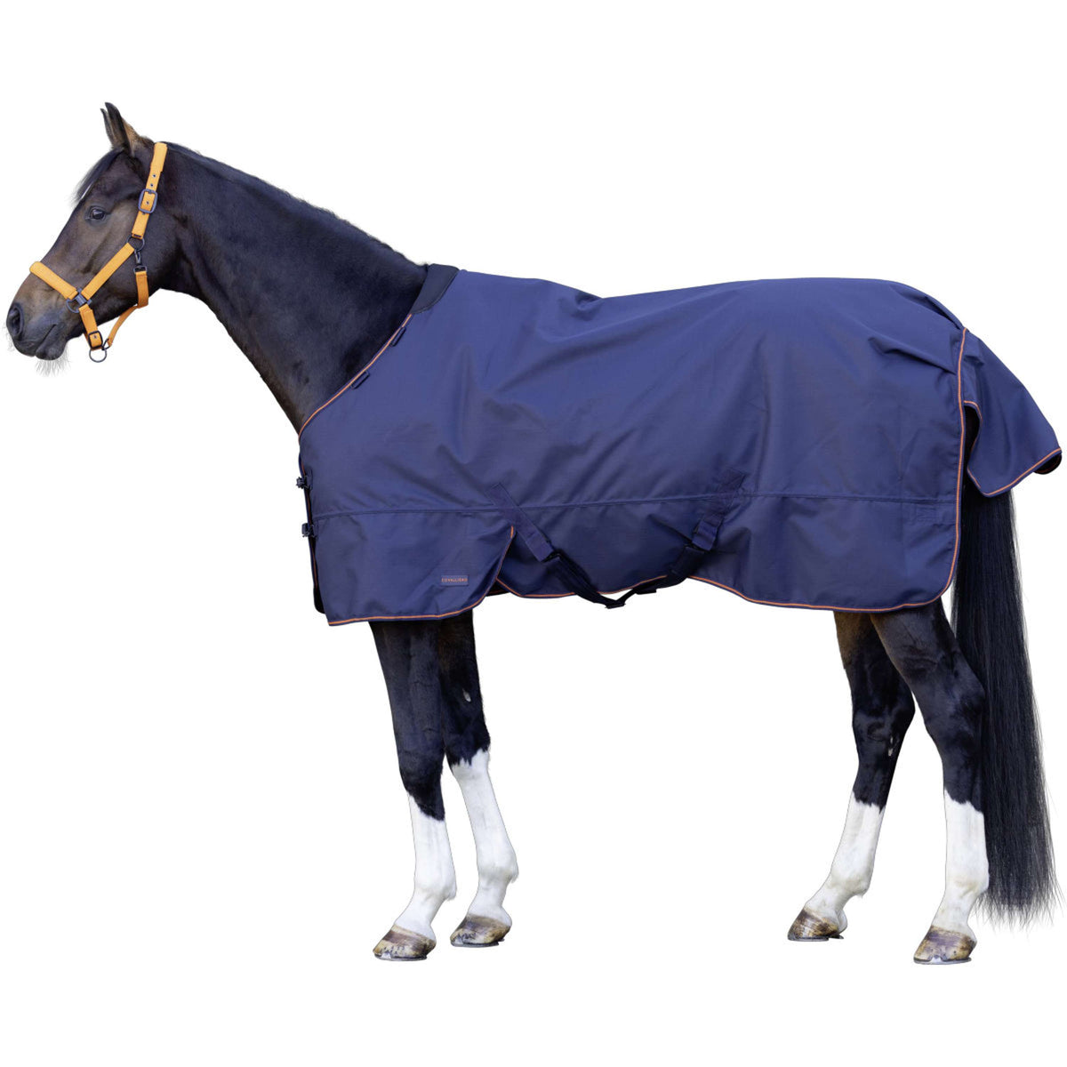 Covalliero Outdoordecke AW26 100g Dark Navy