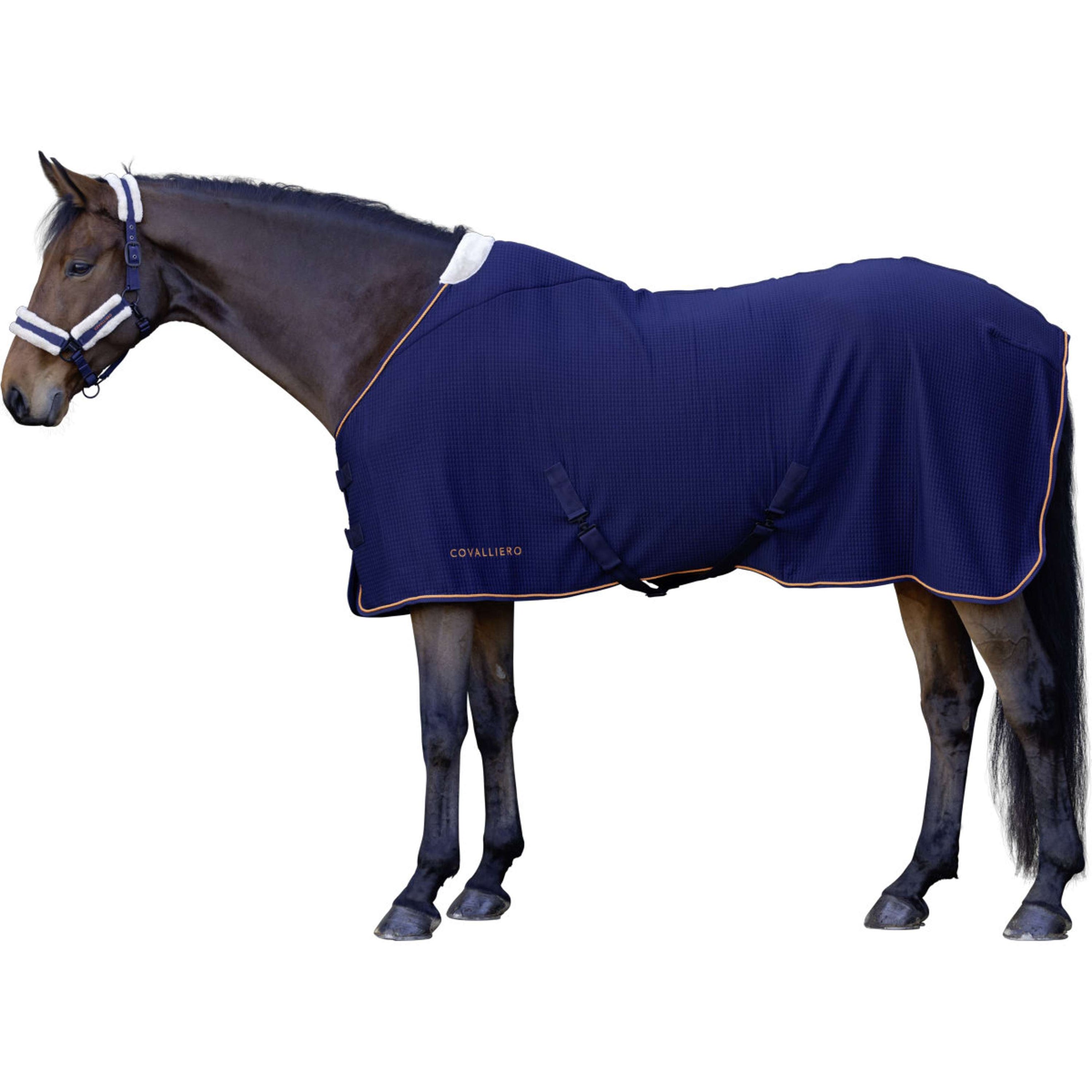 Covalliero Abschwitzdecke Premium AW26 Dark Navy