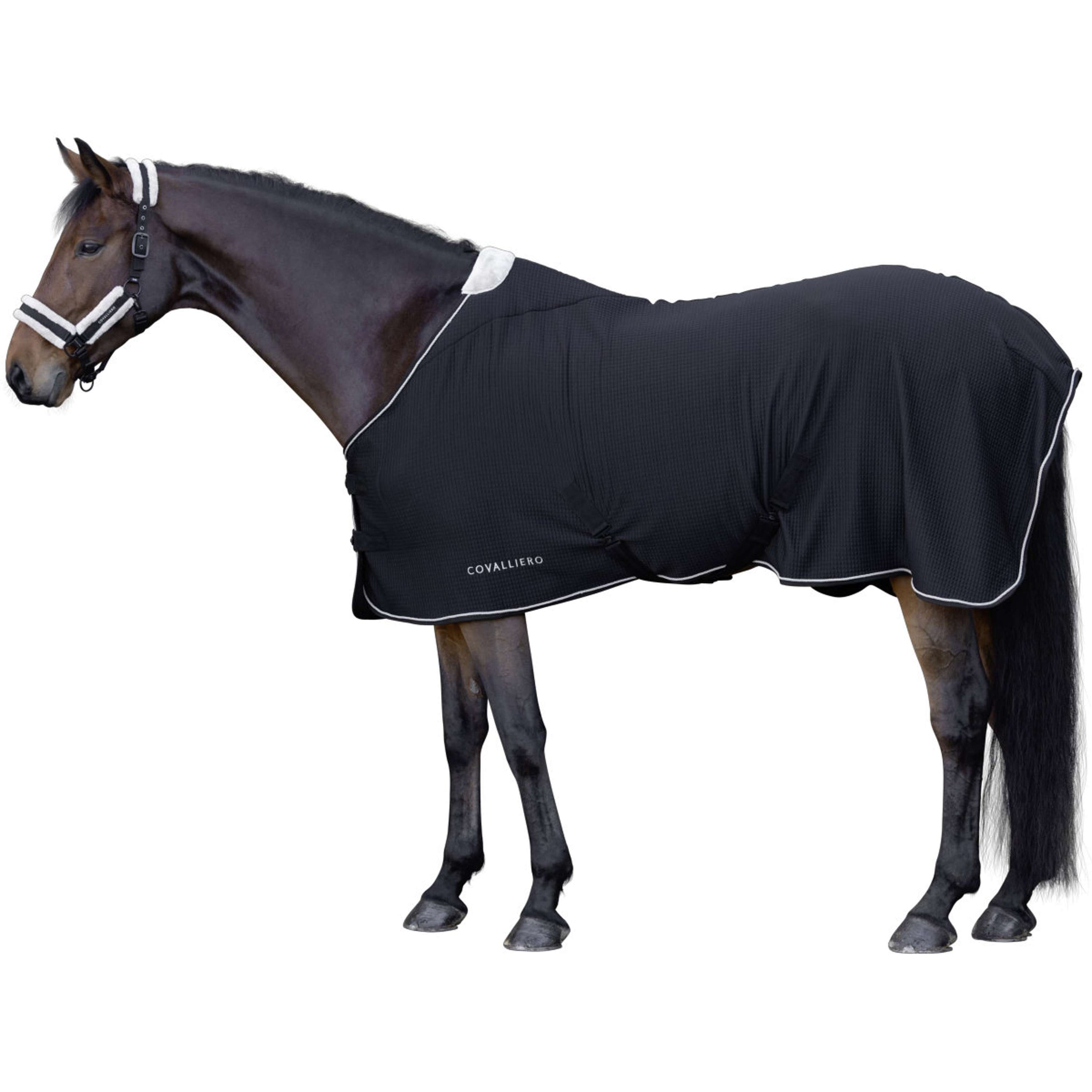 Covalliero Abschwitzdecke Premium AW26 Schwarz