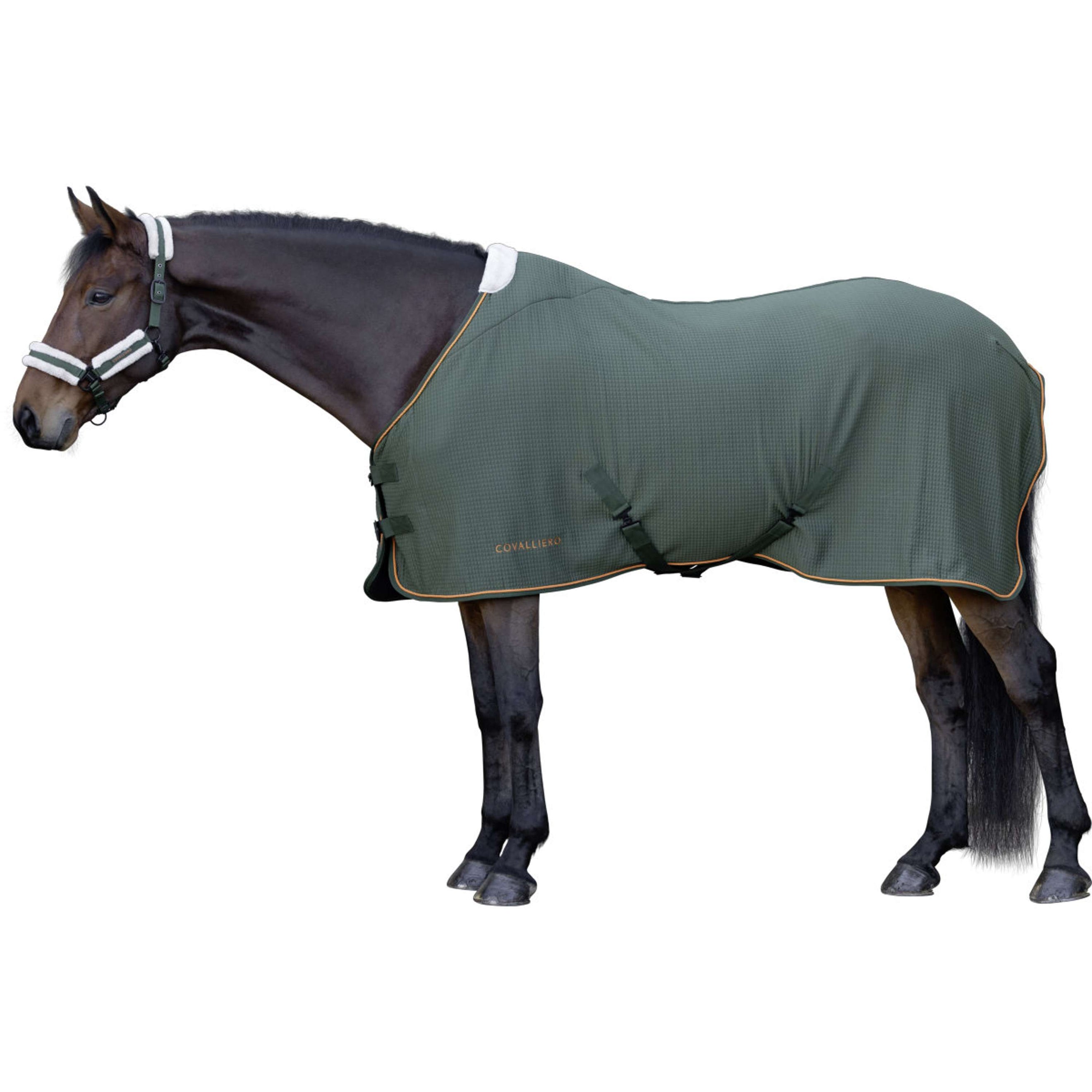 Covalliero Abschwitzdecke Premium AW26 Forest Green Covalliero Abschwitzdecke Premium AW26 Forest Green
