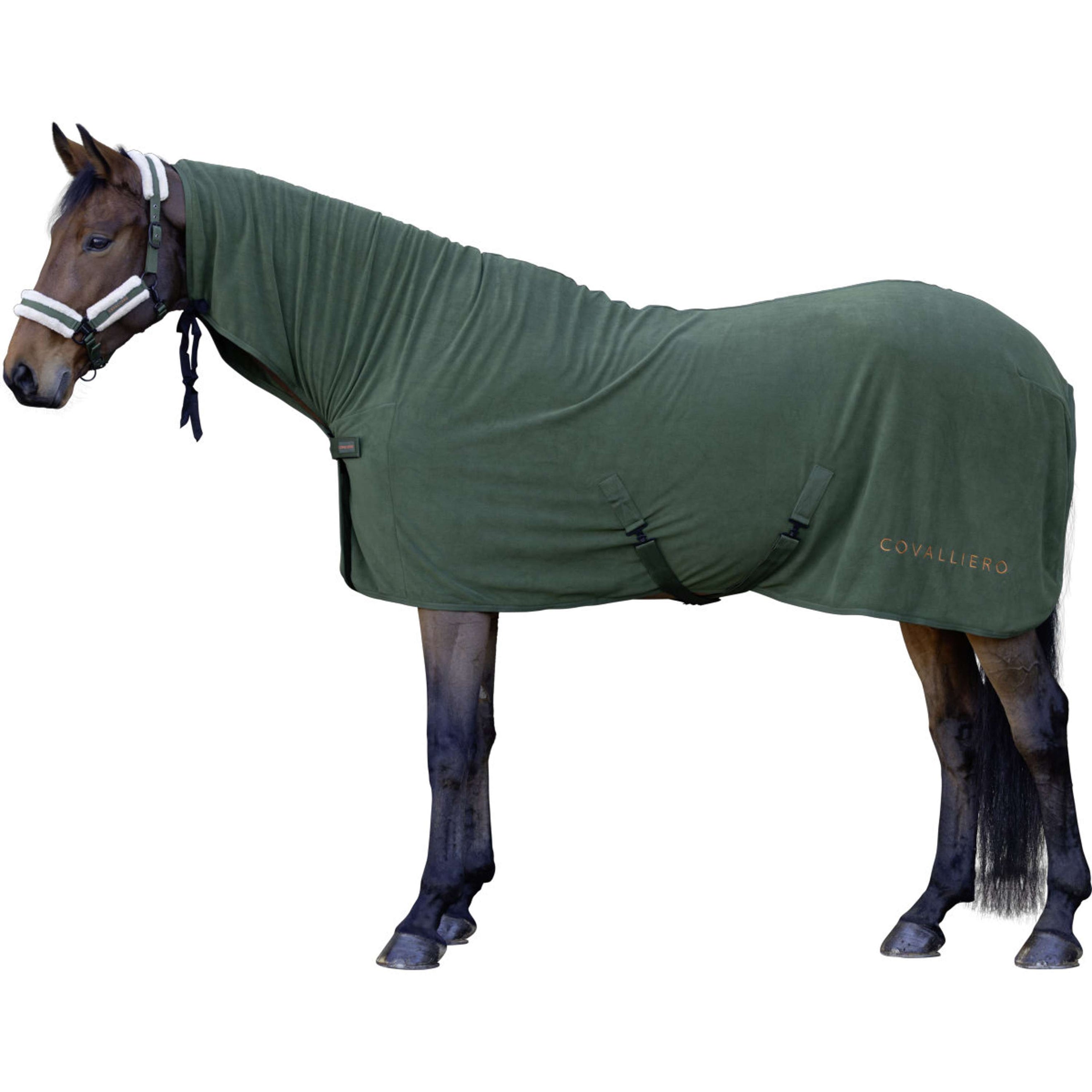 Covalliero Abschwitzdecke AW26 Forest Green Covalliero Abschwitzdecke AW26 Forest Green