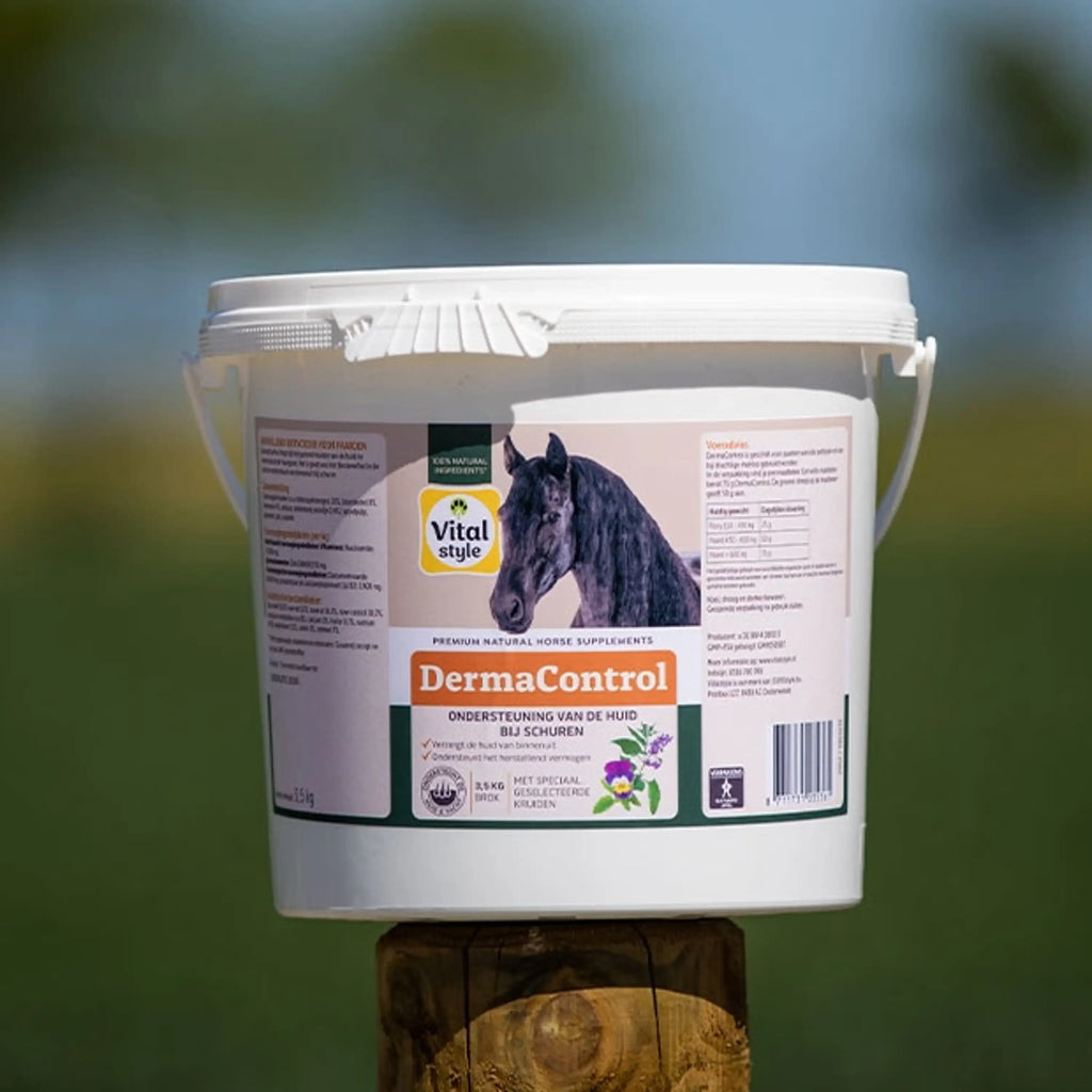 Vitalstyle DermaControl Chunk