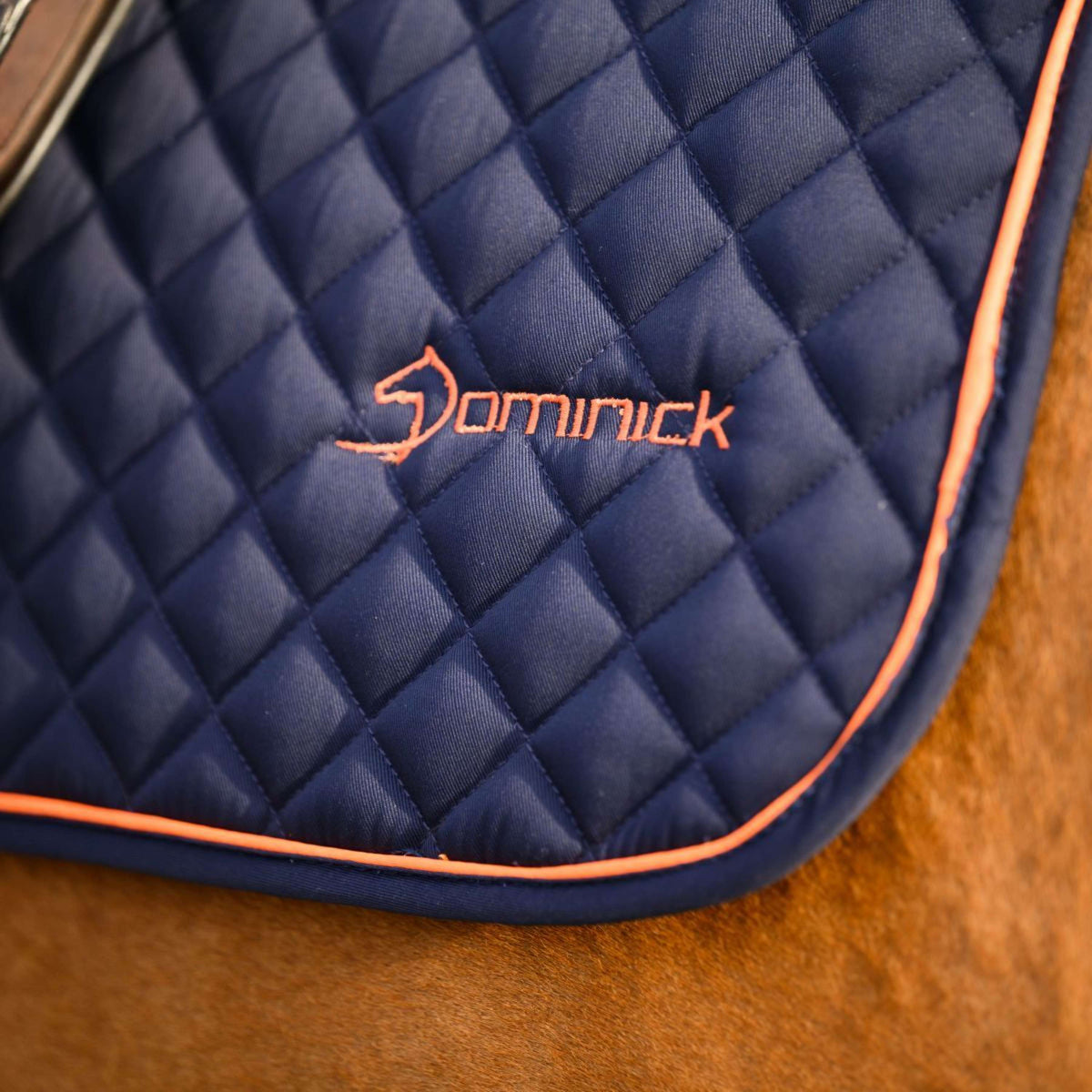 Dominick Schabracke Springen Navy Orange