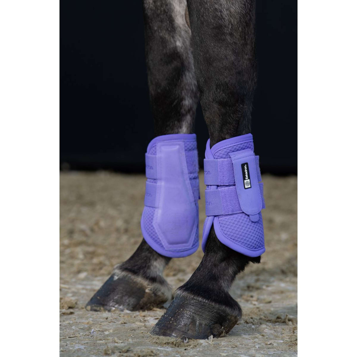 Eskadron Dressage Boots Mesh Dynamic Violett