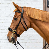 Dyon Zaum Hackamore Schwarz