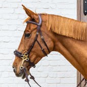 Dyon Zaum Hackamore Braun