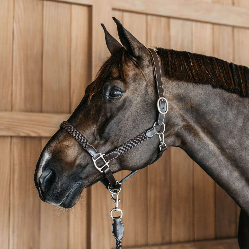 Dyon Halfter Plaited Braun