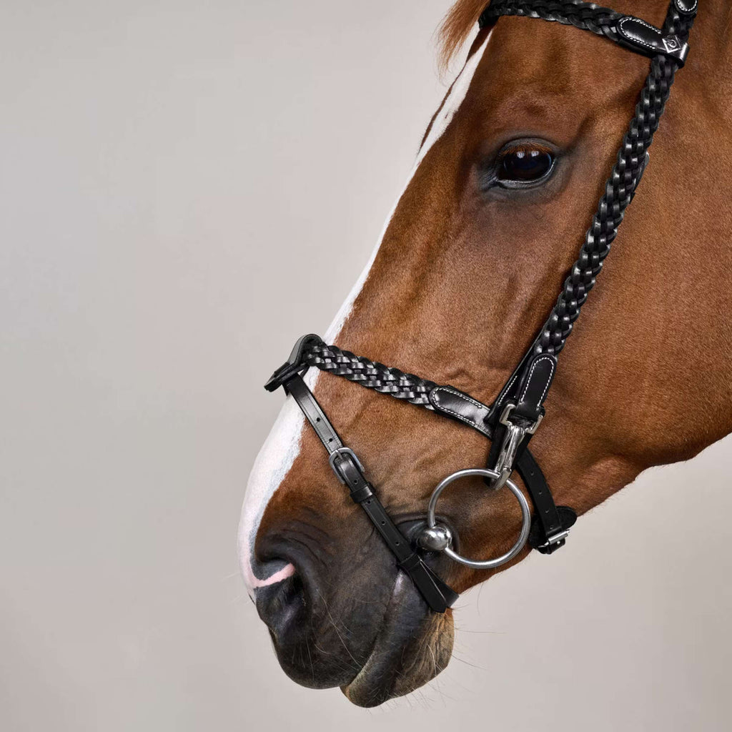 Dyon Zaum Training Schwarz