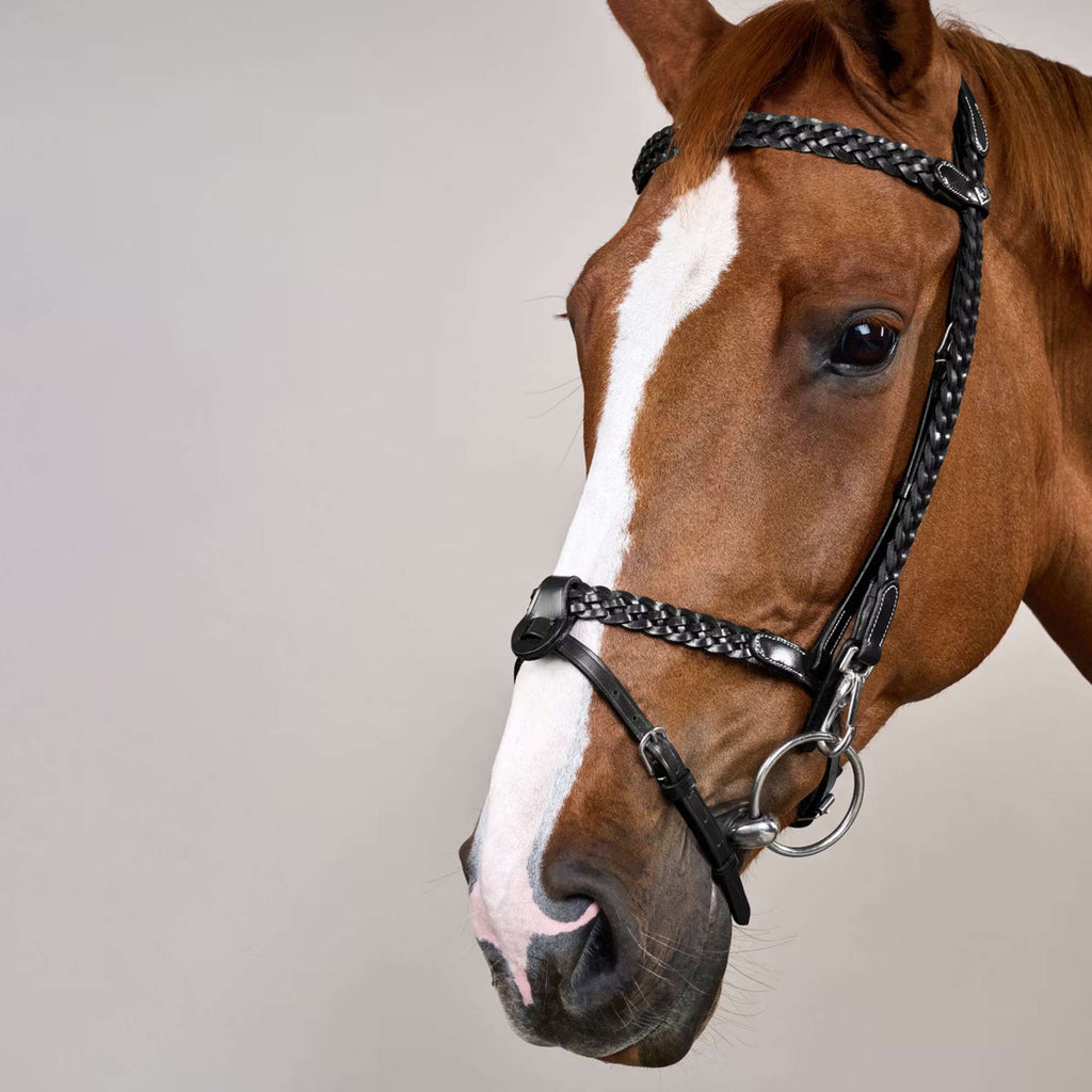 Dyon Zaum Training Schwarz