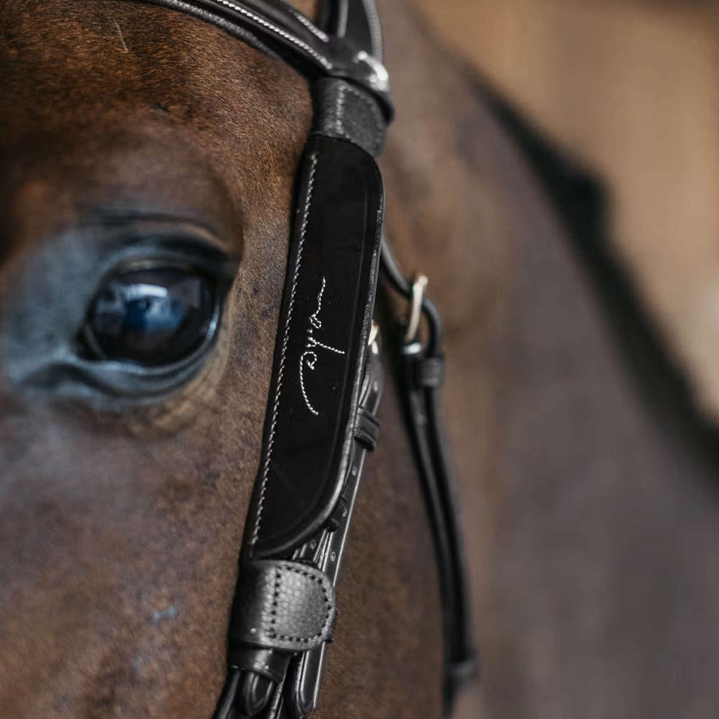 Dyon Blinkers Fancy Schwarz