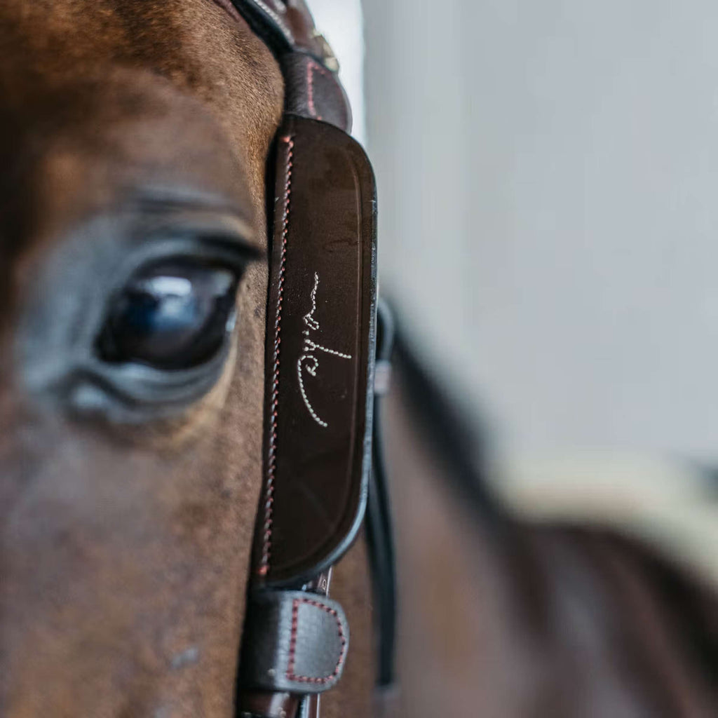 Dyon Blinkers Fancy Braun