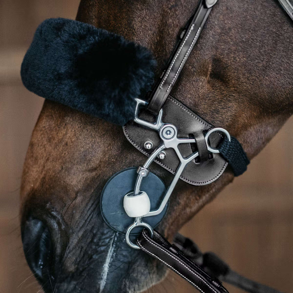 Dyon Hackamore-Schutz Schwarz