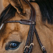 Dyon Stirnriemen Braided Braun