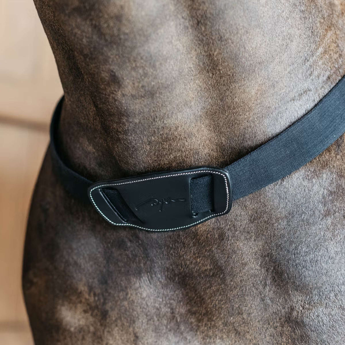 Dyon Brustgeschirr Elastic Schwarz