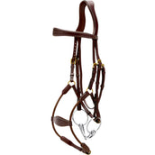 Dyon Zaum Elastic Hybrid Braun