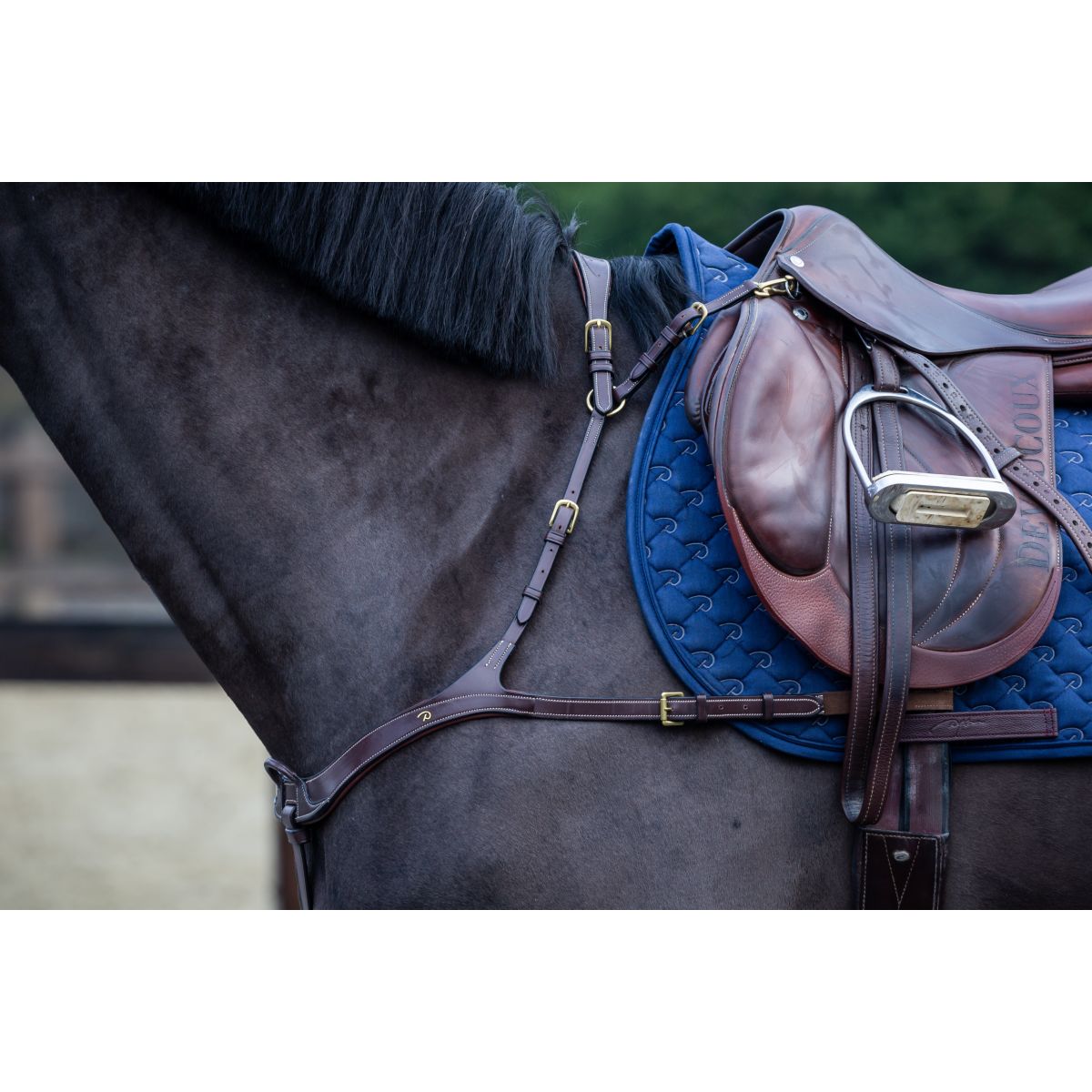 Dyon Brustgeschirr Anatomical Braun/Messing