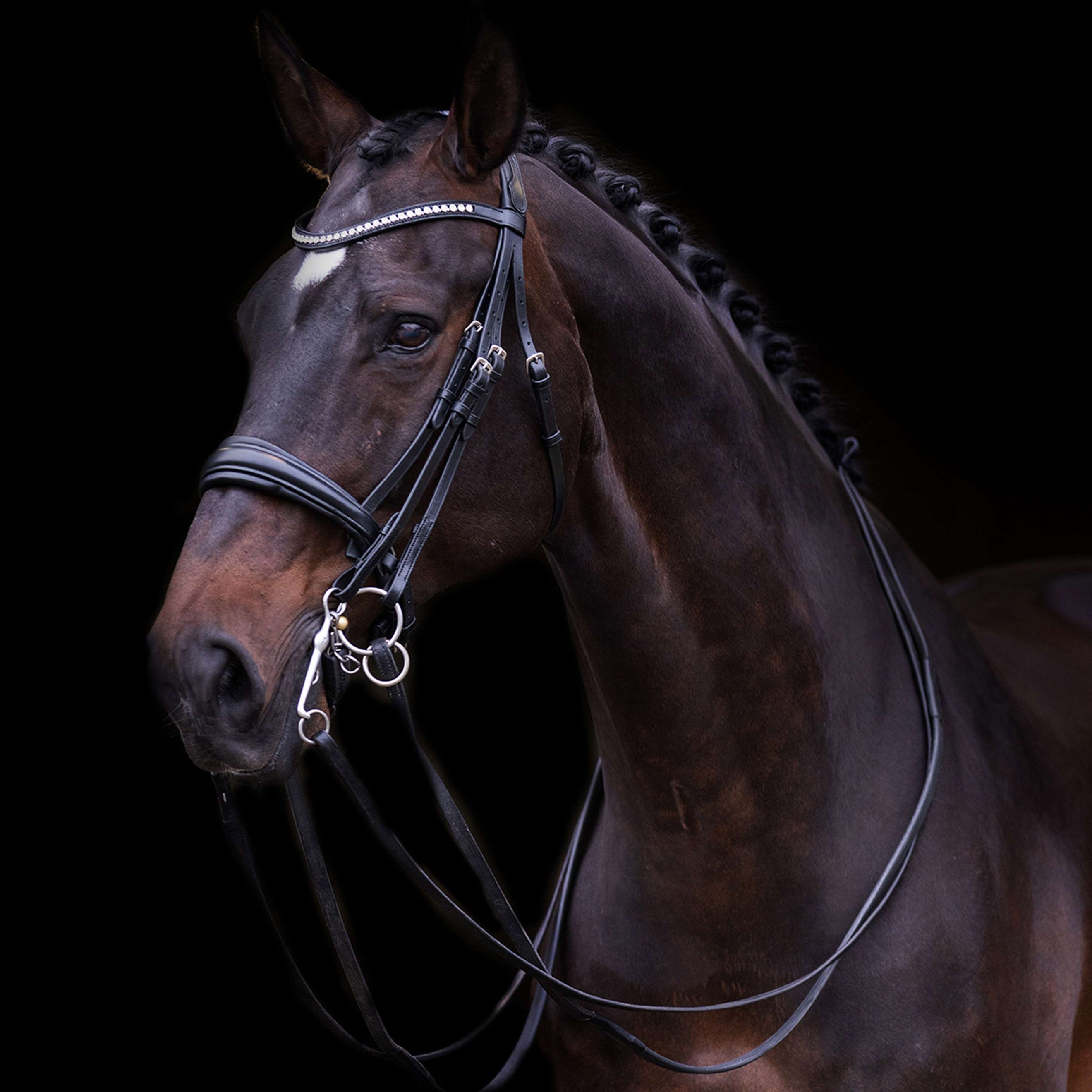 Imperial Riding Kandarenzaum IRHFria Schwarz Imperial Riding Kandarenzaum IRHFria Schwarz