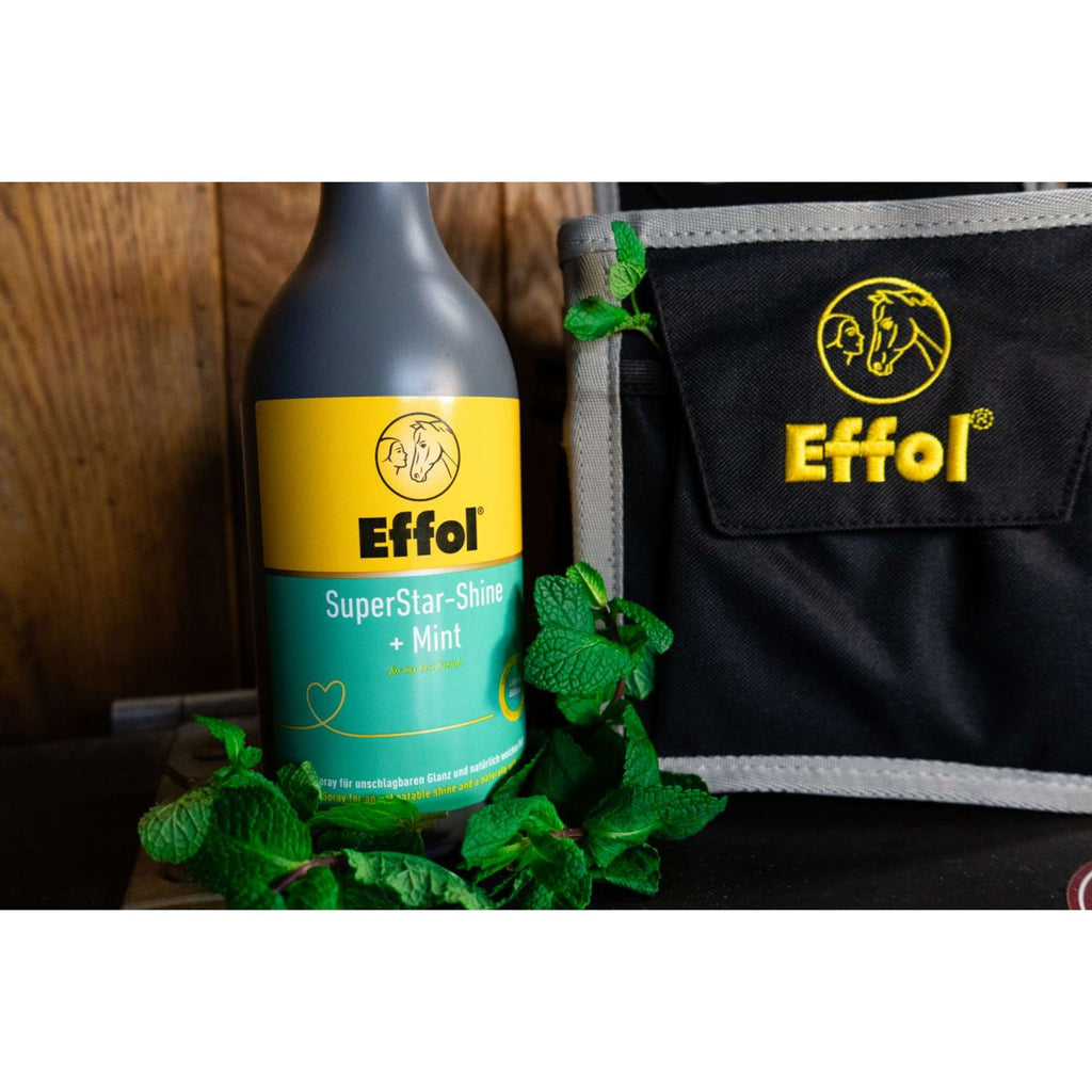 Effol Glanzspray SuperStar Mint