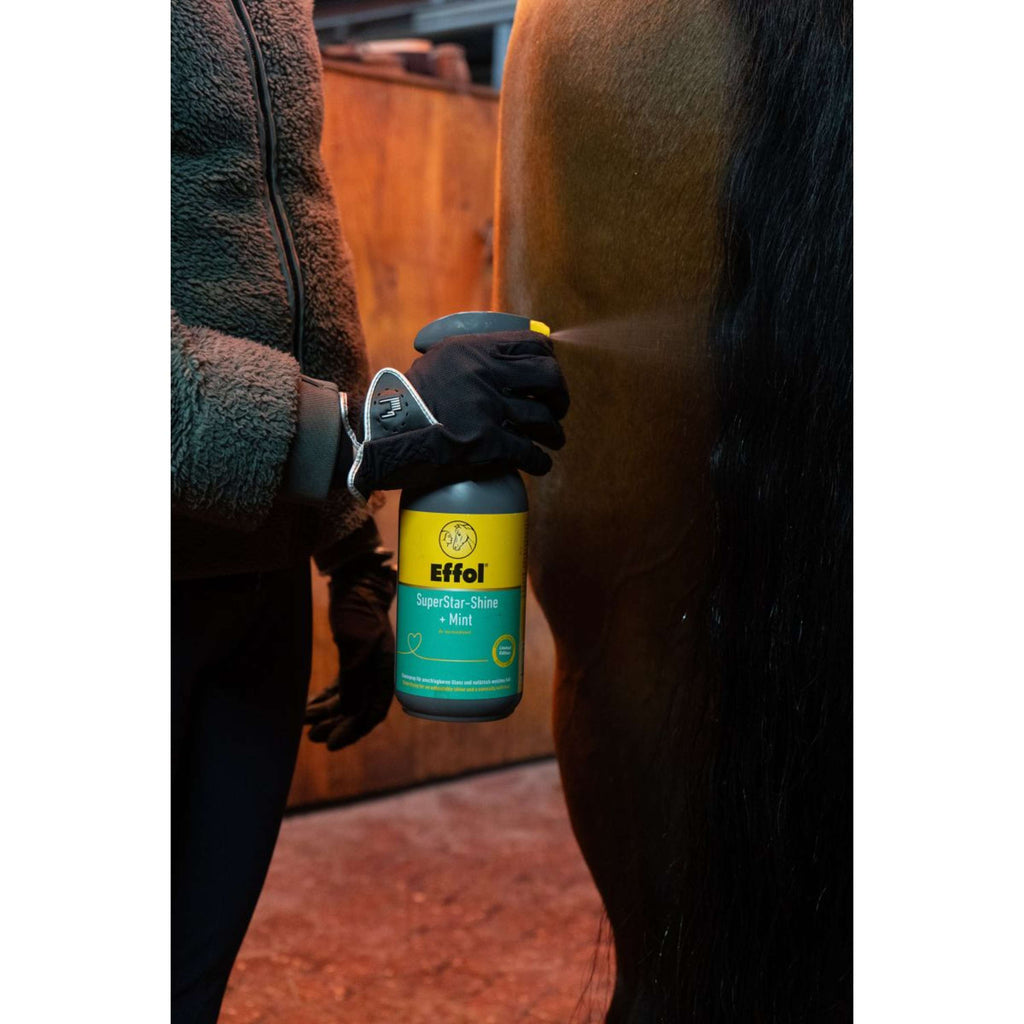Effol Glanzspray SuperStar Mint