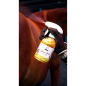 Effol Glanzspray Kids Star Gold