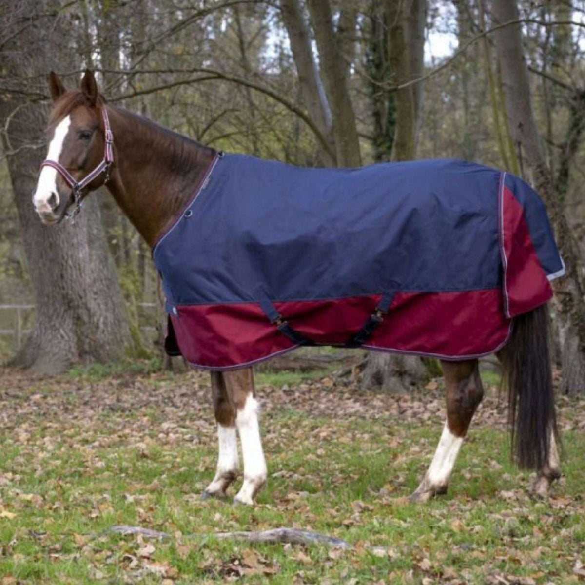 EQUITHÈME Outdoordecke Tyrex 1200D 50g Navy/Bordeaux