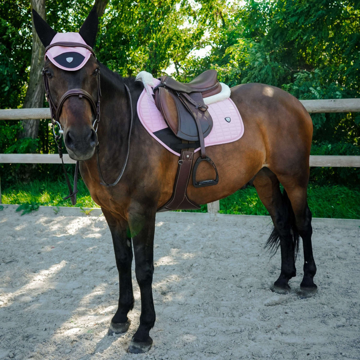 Ekkia Schabracke PRO Combo Master Vielseitigkeit Rosa