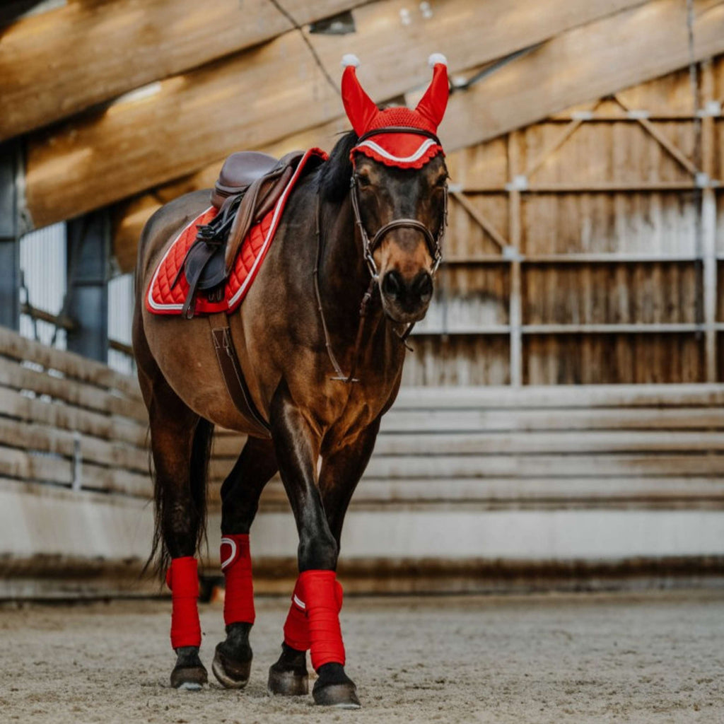 EQUITHÈME Fliegenhaube Weihnachten Rot