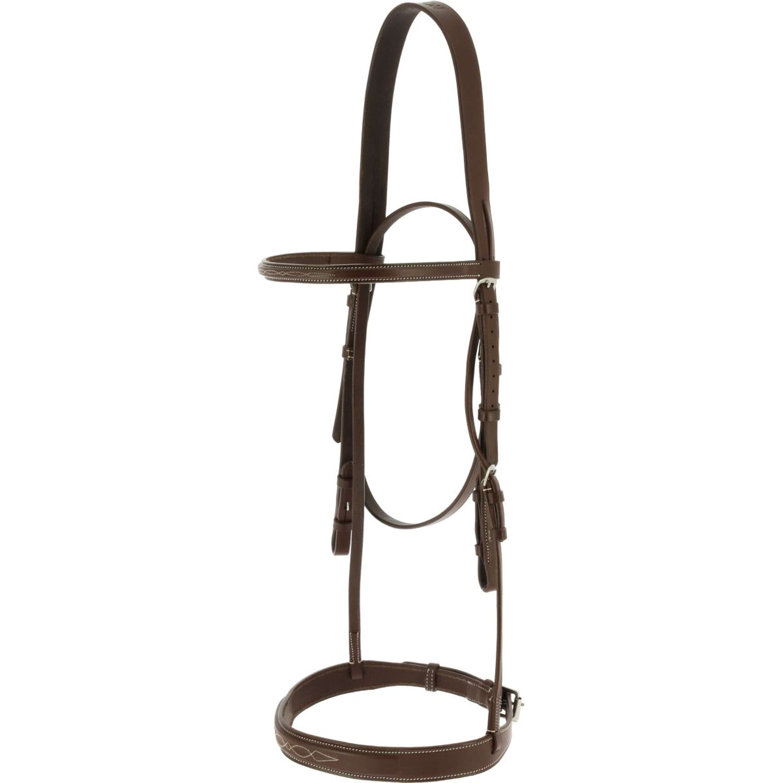 Norton Zaum Hunter Havanna Norton Zaum Hunter Havanna