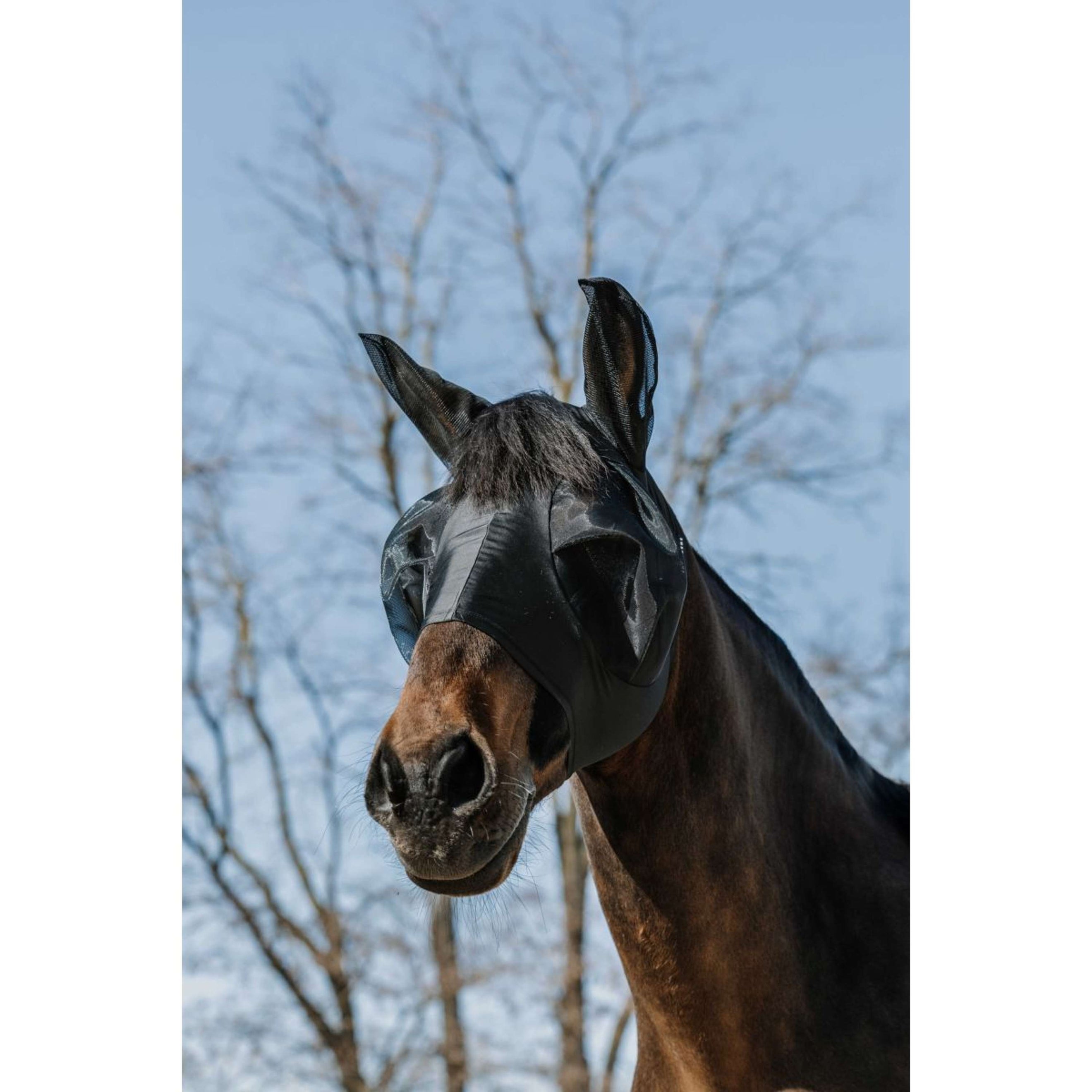 EQUITHÈME Fliegenmaske Lycra mit UV-Schutz Schwarz