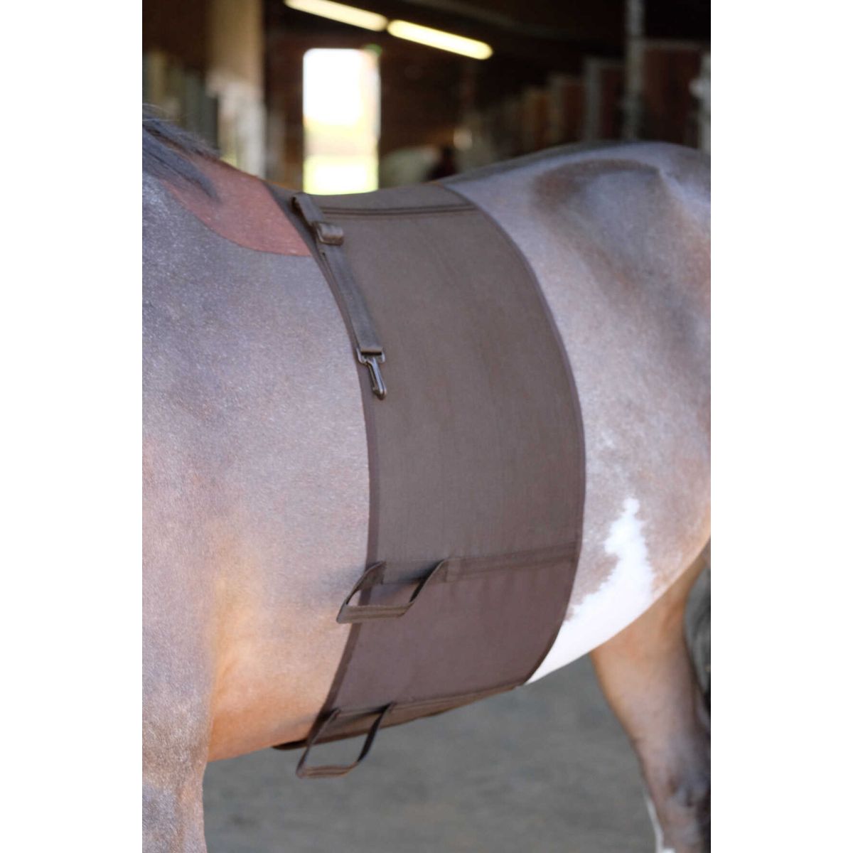 Norton Sporenschutz Braun