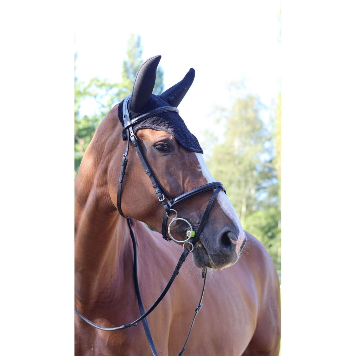 Lami-Cell Fliegenhaube Silentair Schwarz