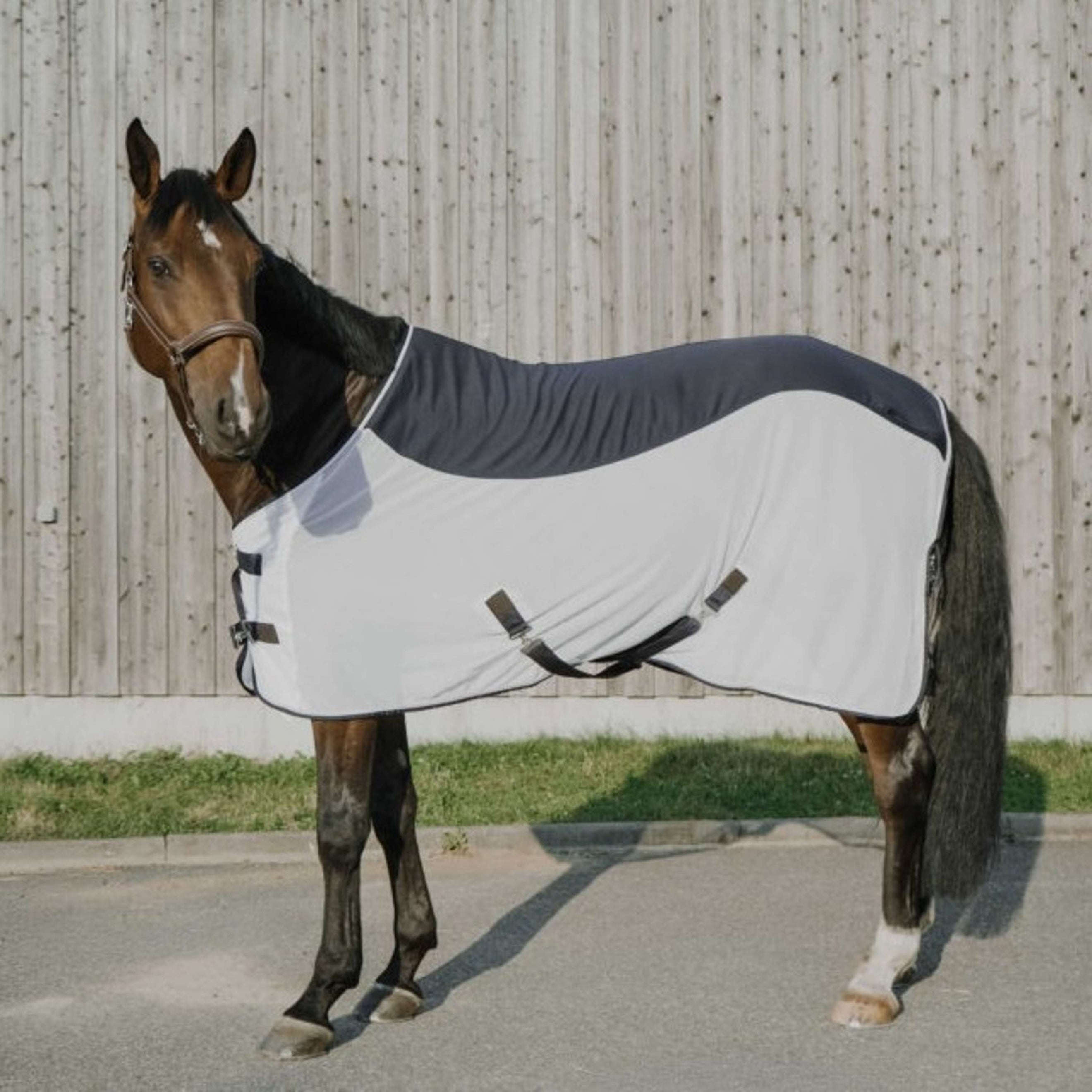 EQUITHÈME Fliegendecke Flycool Standard Navy/Weiß EQUITHÈME Fliegendecke Flycool Standard Navy/Weiß
