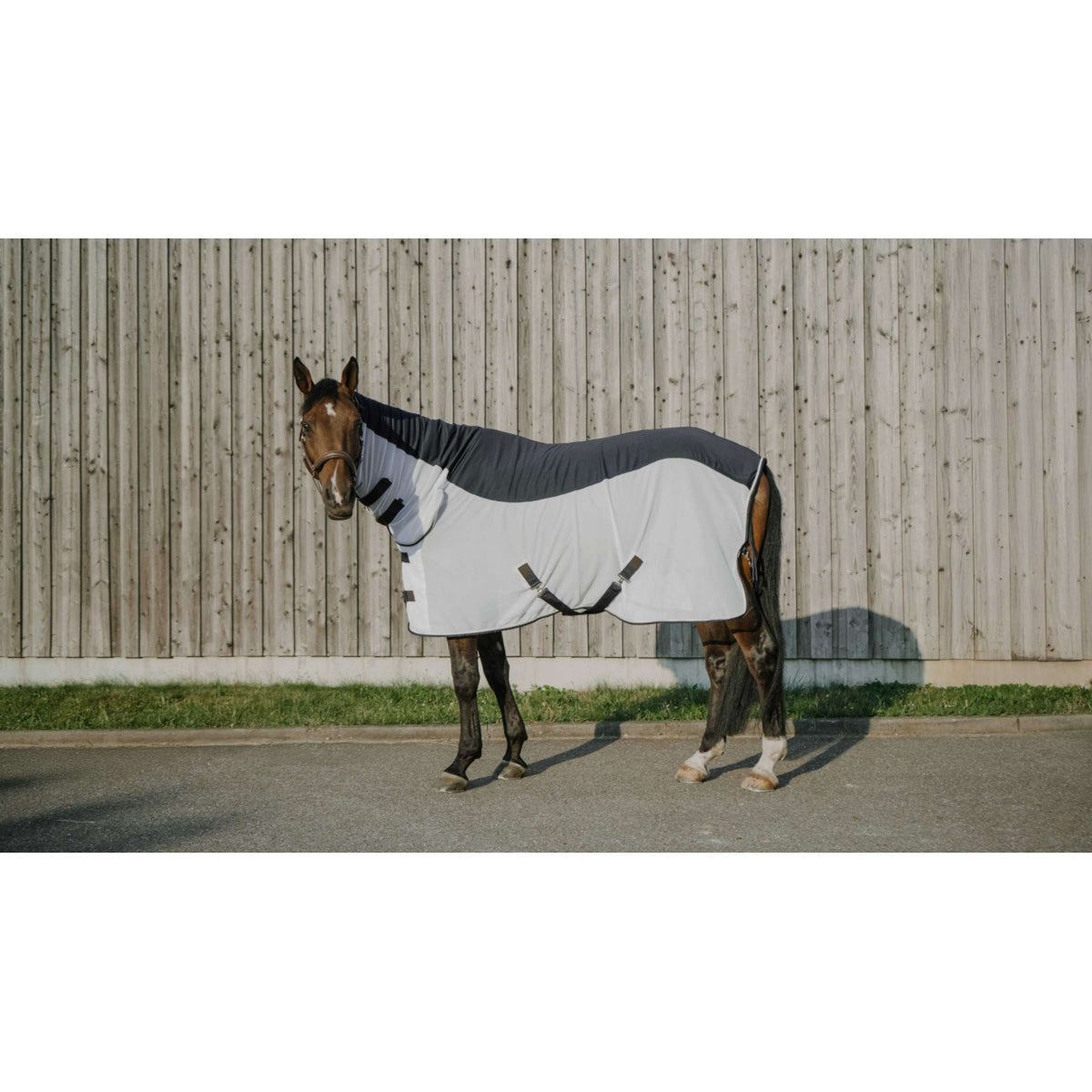 EQUITHÈME Fliegendecke Flycool Combo mit Halsteil Navy/Weiß