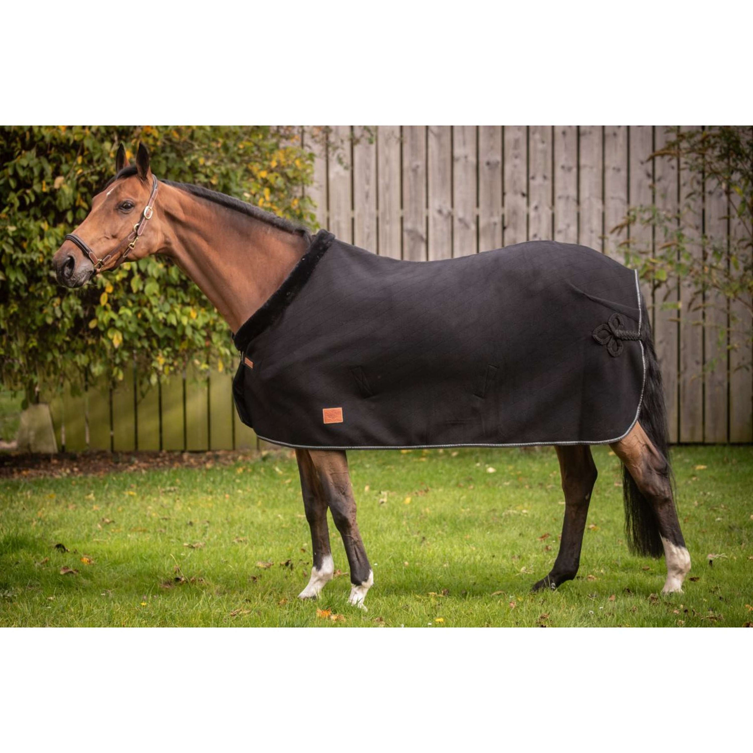 Paddock Abschwitzdecke Diagonal Schwarz Paddock Abschwitzdecke Diagonal Schwarz