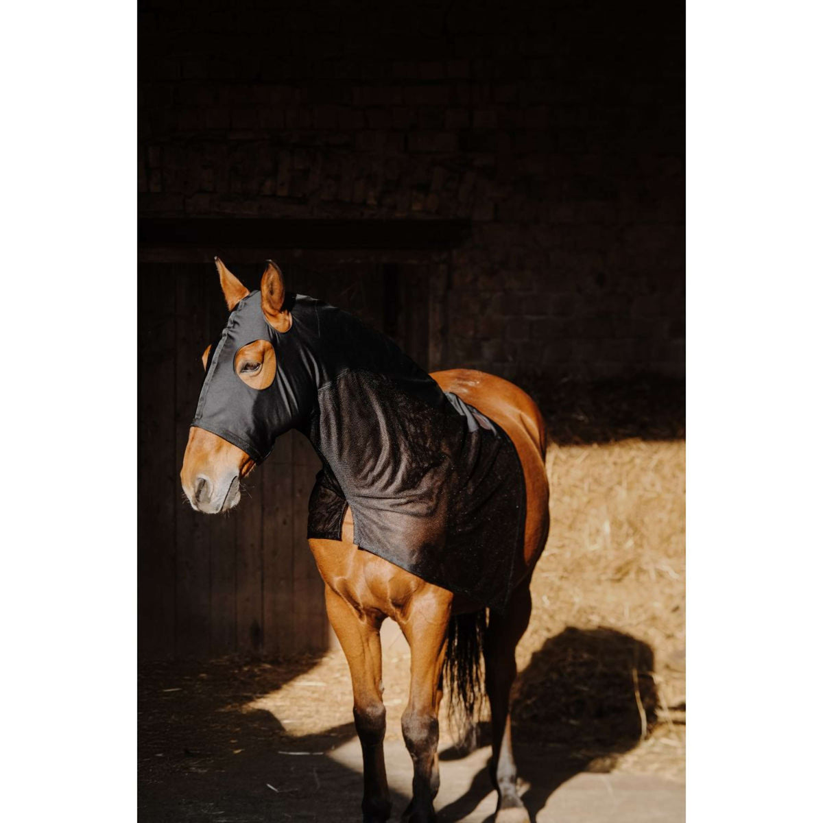 EQUITHÈME Nackenschutz Lycra/Mesh Schwarz
