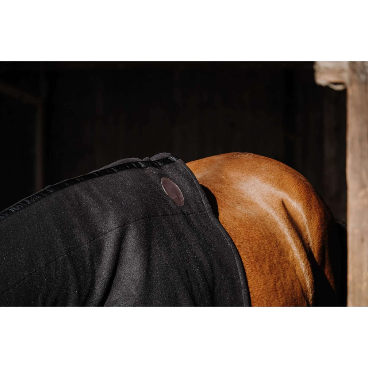 EQUITHÈME Halsschutz Fleece Schwarz