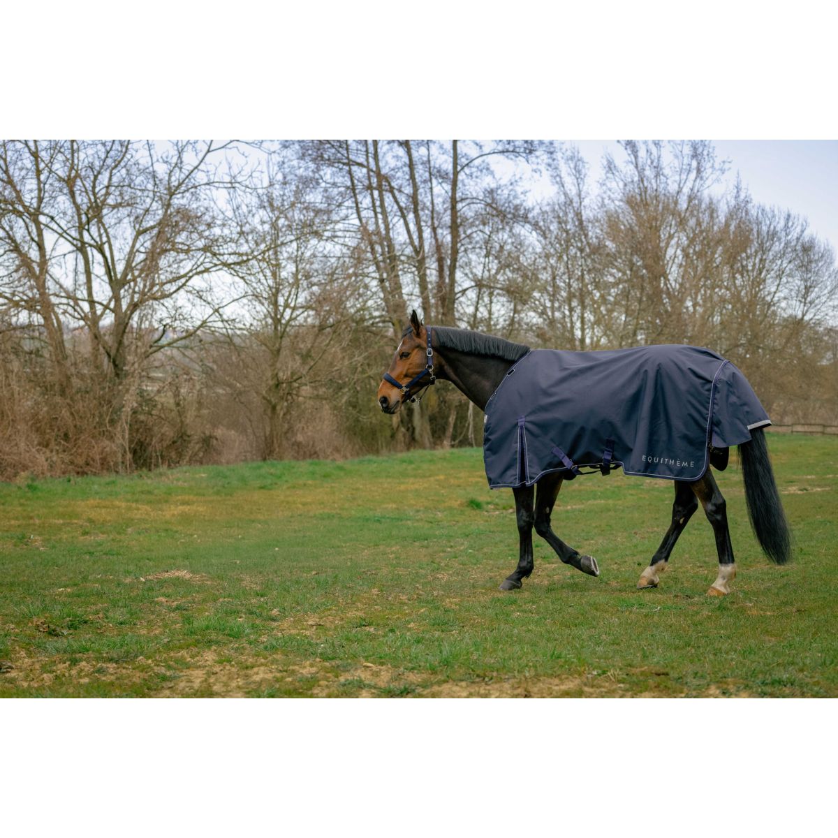 EQUITHÈME Outdoordecke Anatomic 1200D 50g Navy