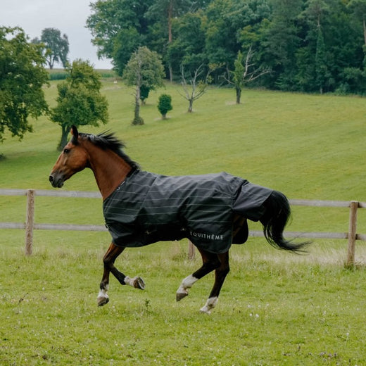 EQUITHÈME Regendecke TYREX Lumin 600D 0g Schwarz