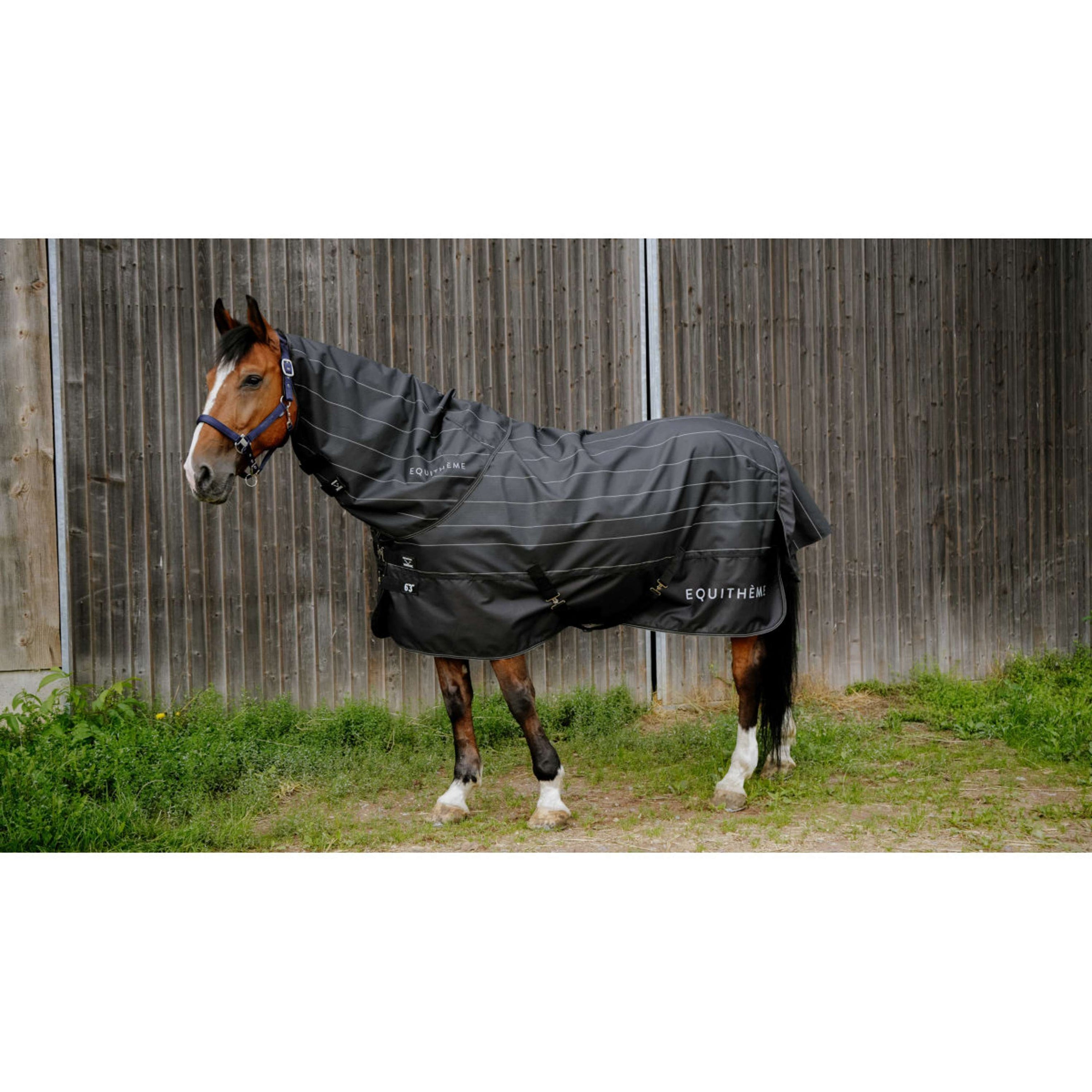 EQUITHÈME Regendecke TYREX Lumin 600D 0g Schwarz EQUITHÈME Regendecke TYREX Lumin 600D 0g Schwarz