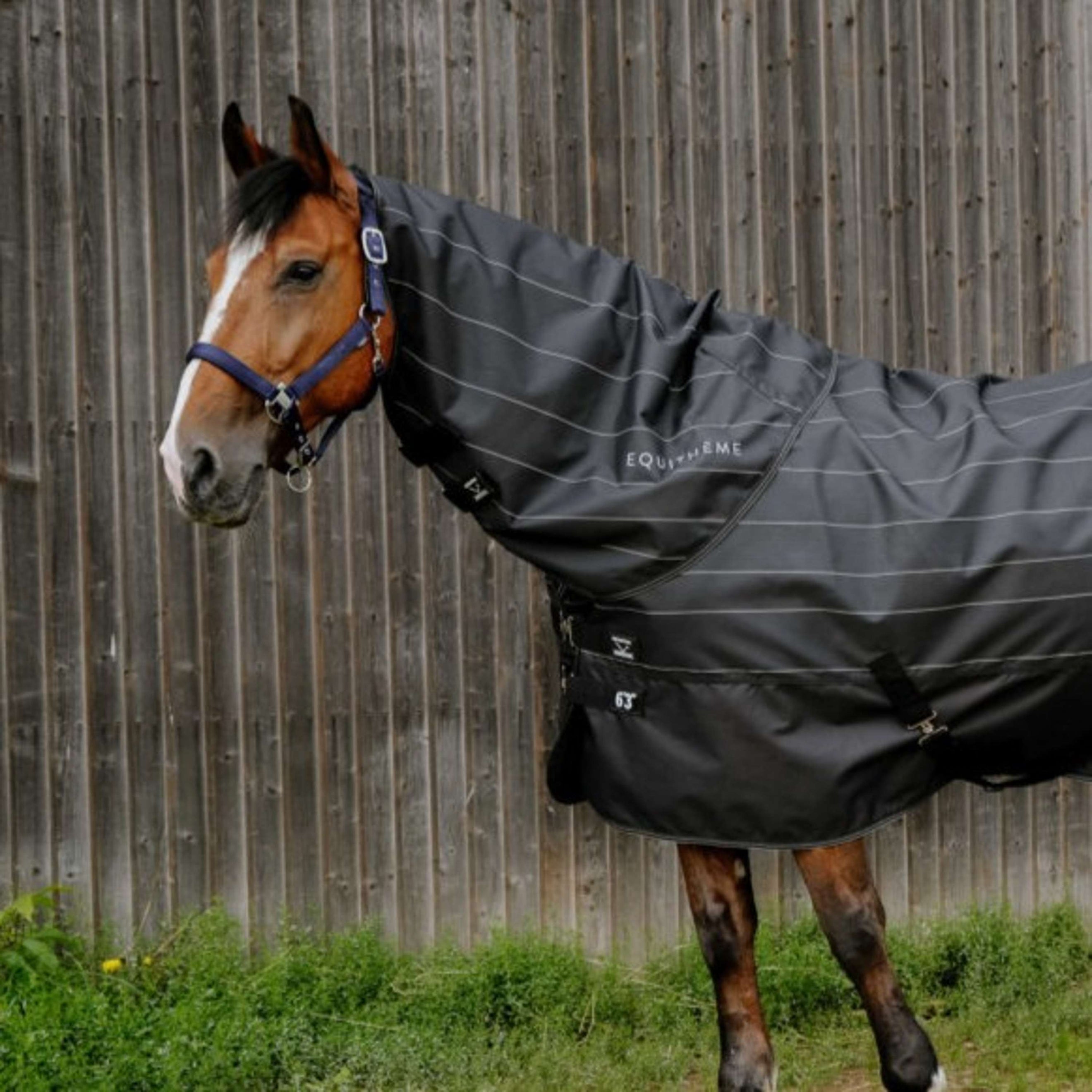 EQUITHÈME Halsstück TYREX Lumin 600D 0g Schwarz