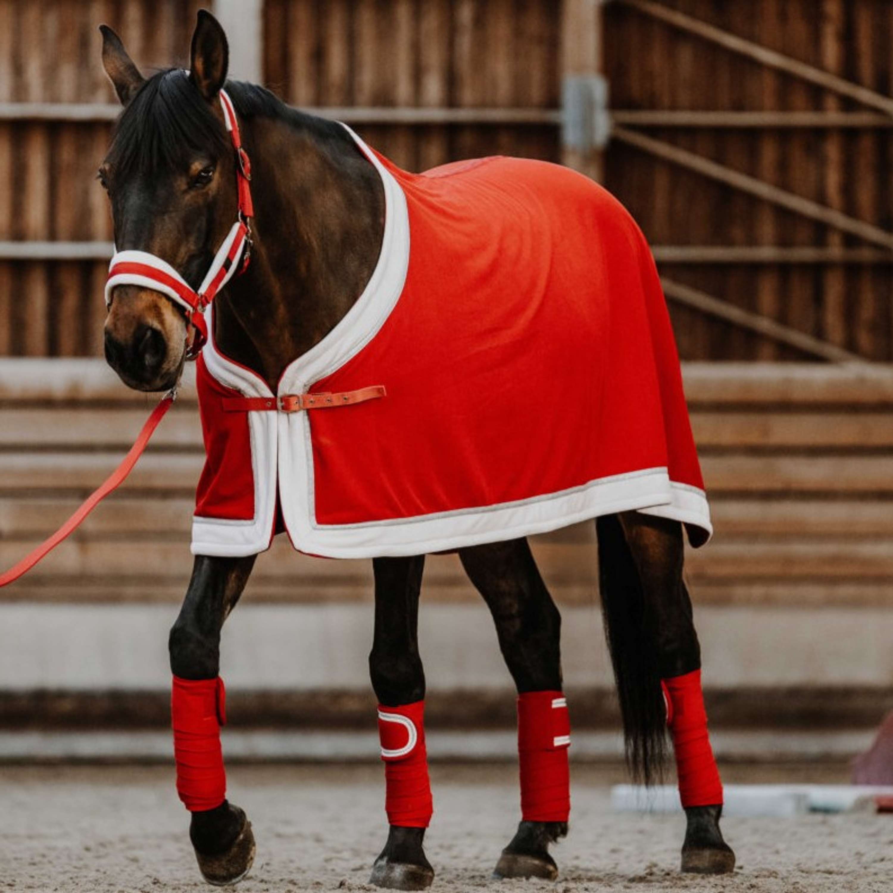 EQUITHÈME Abschwitzdecke Weihnachten Fleece Rot