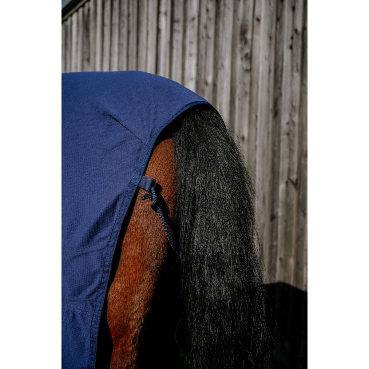 EQUITHÈME Kühldecke Cool& Dry Fresh Combo Marineblau