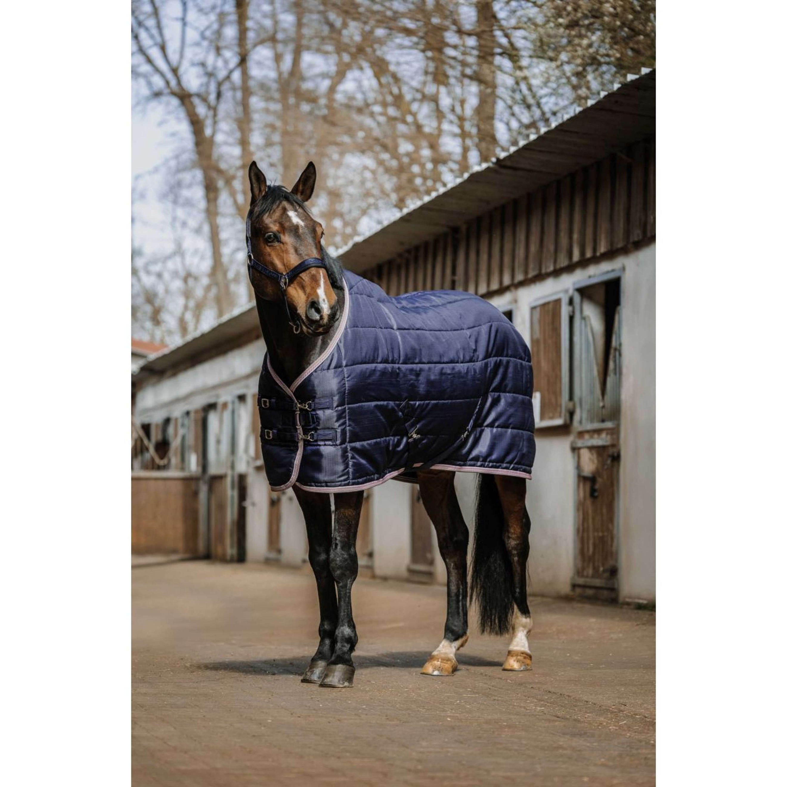 EQUITHÈME Stalldecke Aztec 50g Navy