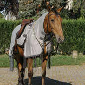 Riding World Fliegen-Ausreitdecke Mesh Grau