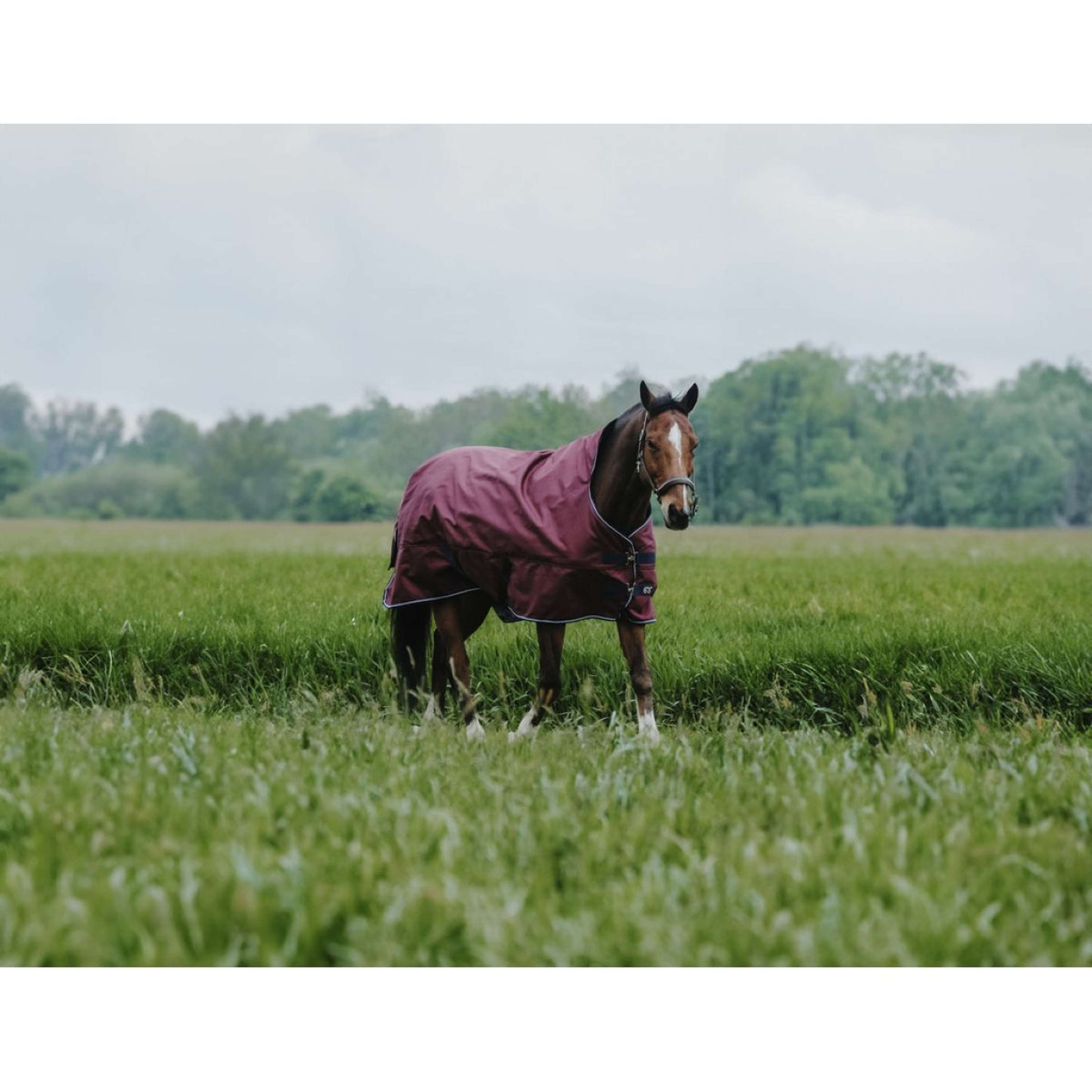 EQUITHÈME Outdoordecke Tyrex 1200D 150g High Neck Burgunderrot EQUITHÈME Outdoordecke Tyrex 1200D 150g High Neck Burgunderrot